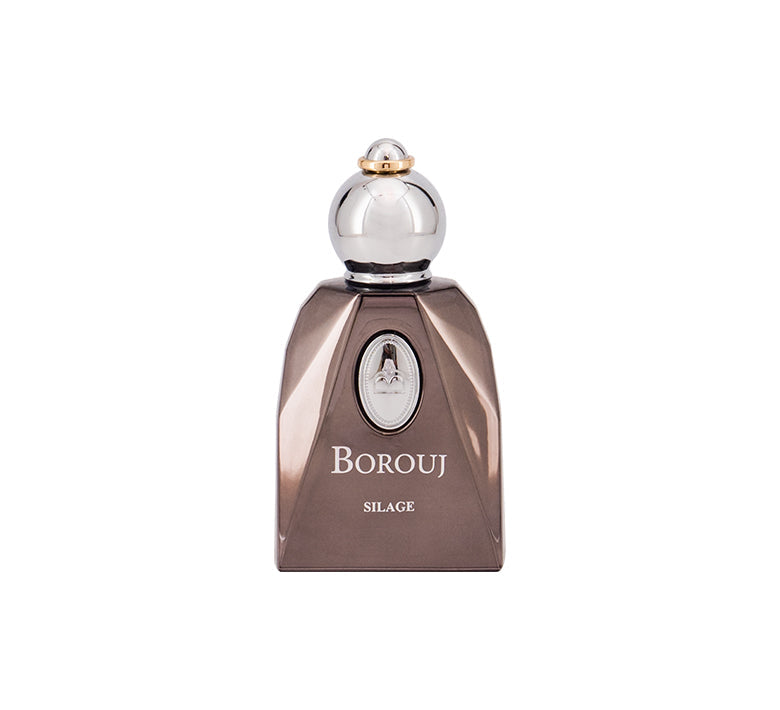 Borouj silage 85 ml